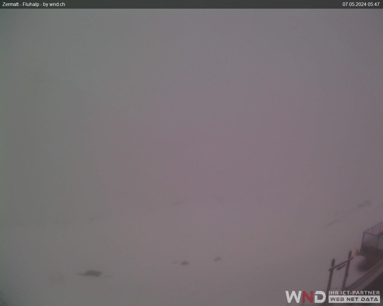 Fluhalp (2,606 m) webcam